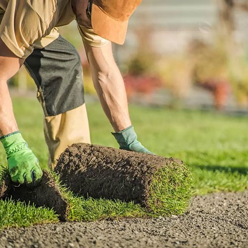 التيل الطبيعي