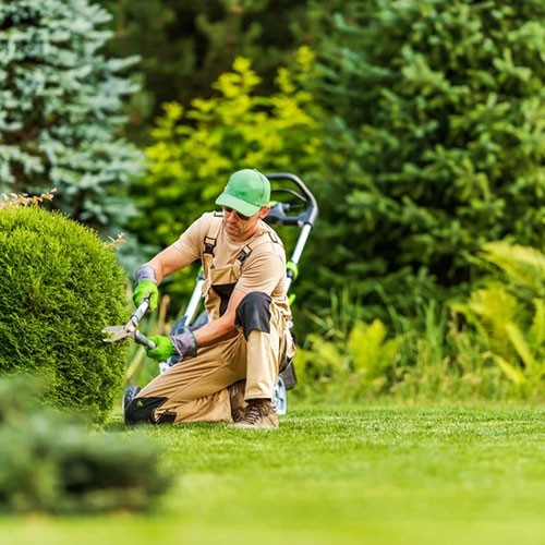 صيانة الحدائق الدورية